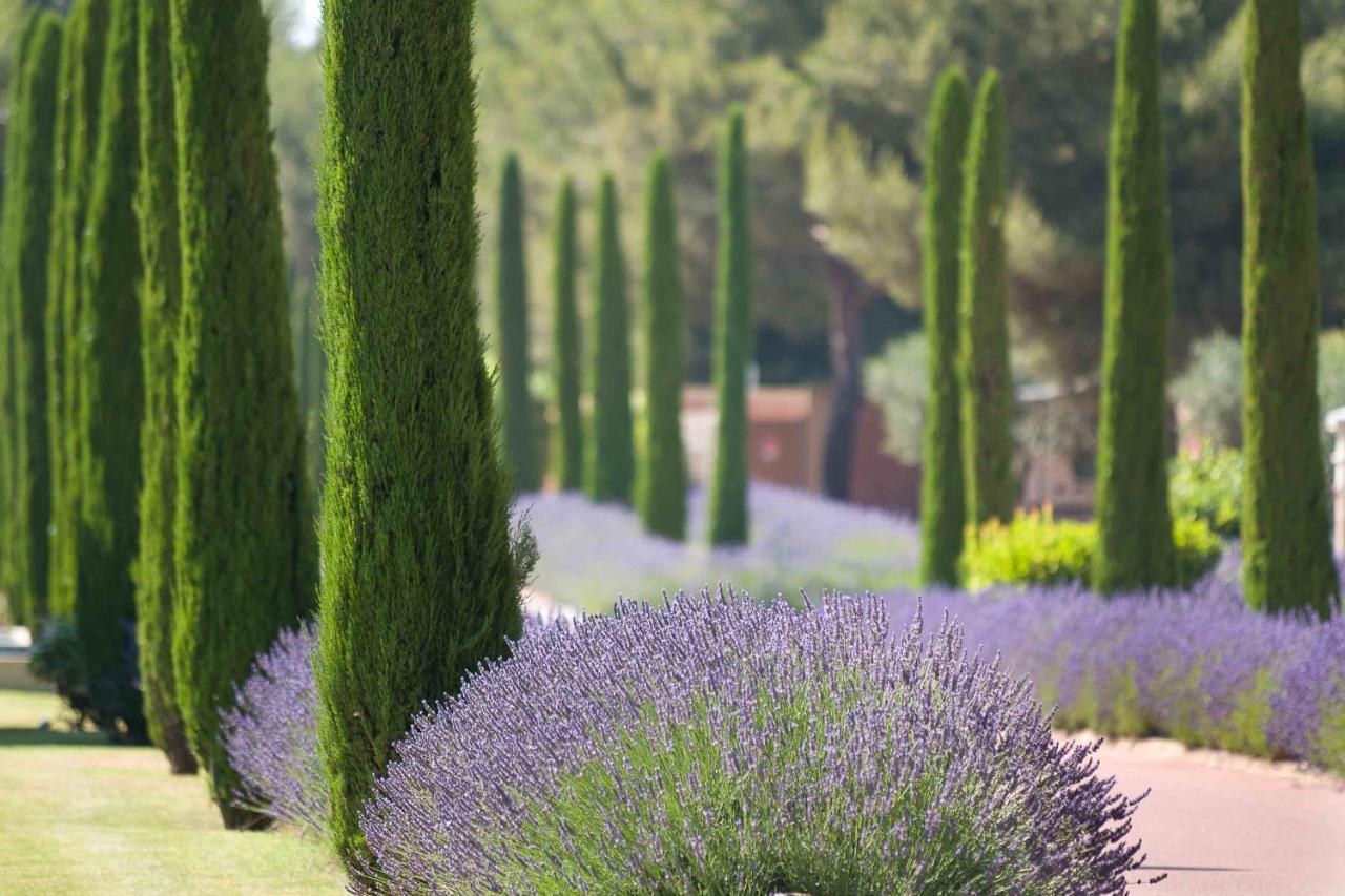 L'Hotel & Spa Du Castellet Le Castellet  Eksteriør bilde